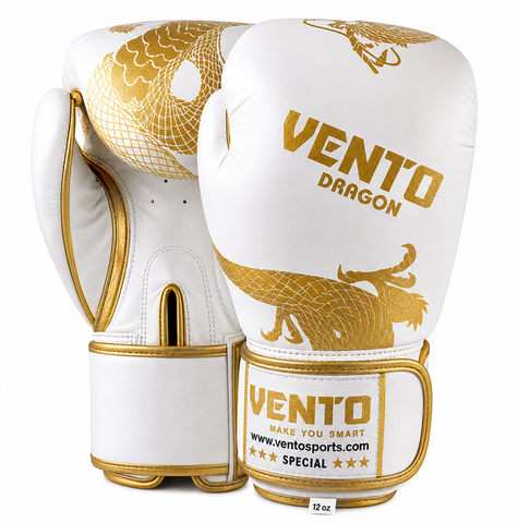 BOXING GLOVES DRAGON