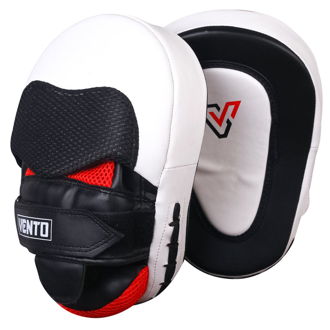 Focus Mitts